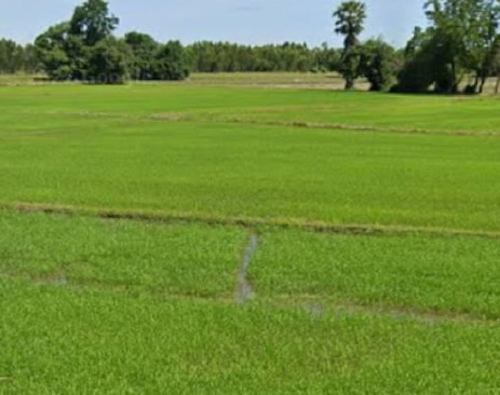 ที่ดินเปล่า นครสวรรค์ เมืองนครสวรรค์ หนองกระโดน 399000