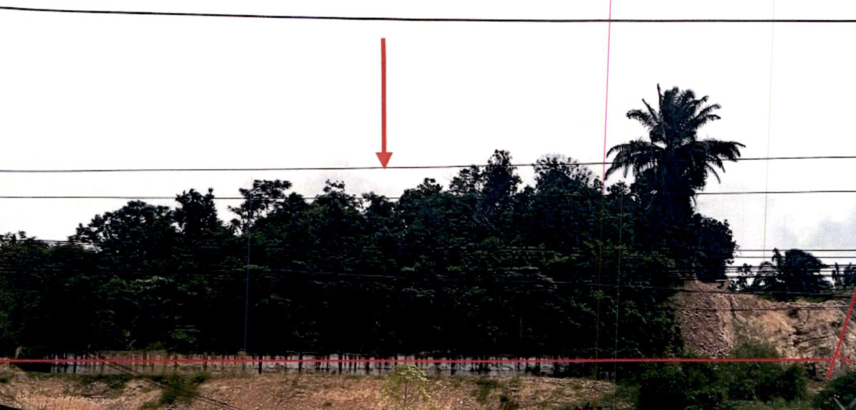 ที่ดินเปล่า สุราษฎร์ธานี พนม ต้นยวน 2861880