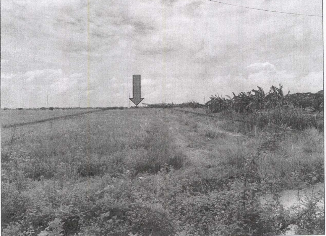 ที่ดินเปล่า สระบุรี ดอนพุด บ้านหลวง 264000