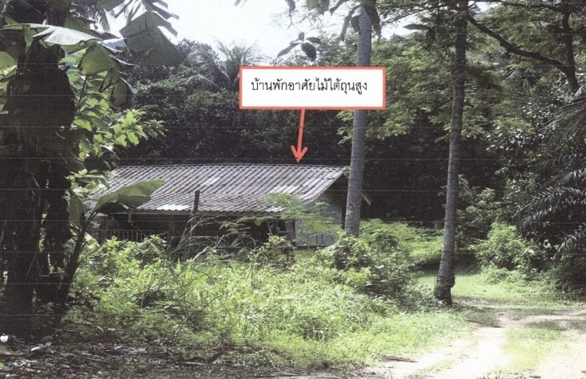 บ้านเดี่ยว พังงา เกาะยาว เกาะยาวใหญ่ 461400