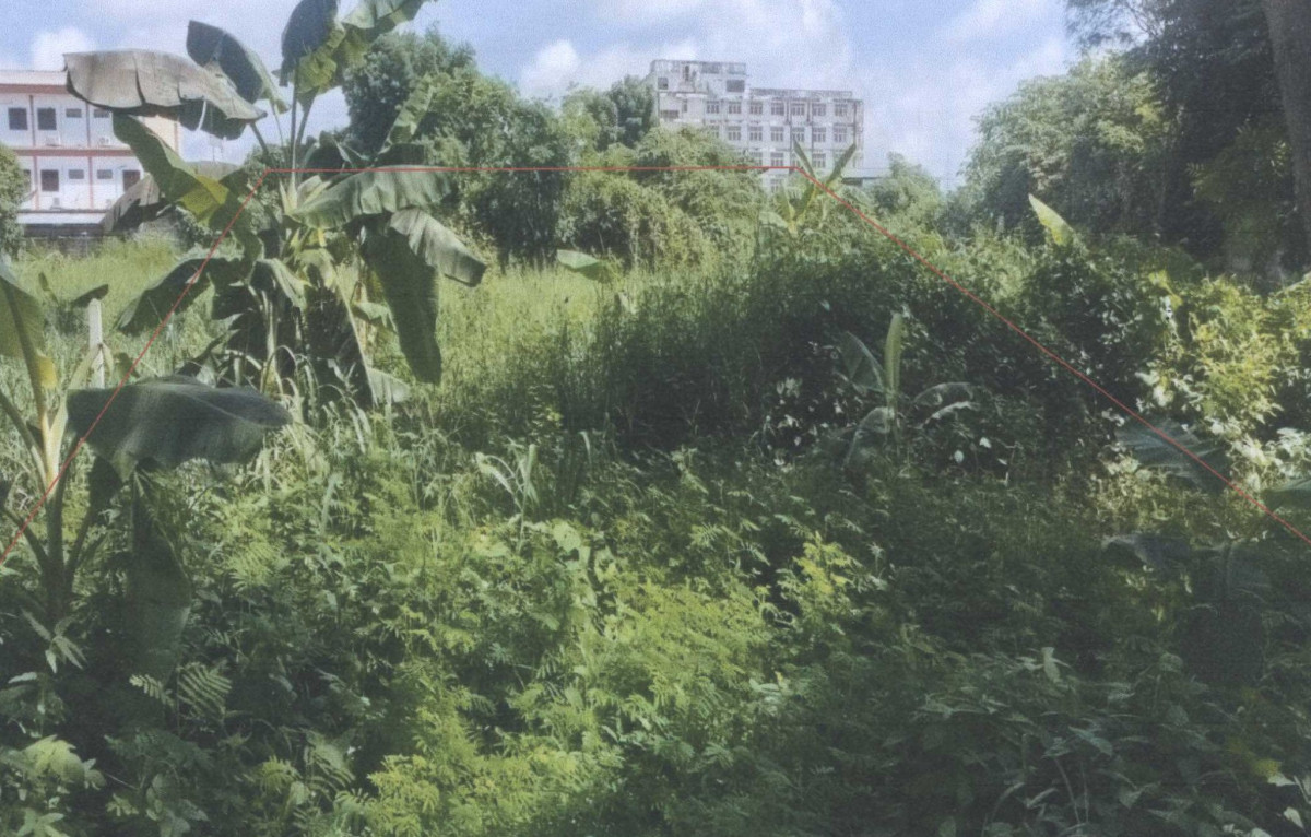 ที่ดินเปล่า อุตรดิตถ์ ตรอน วังแดง 1184040