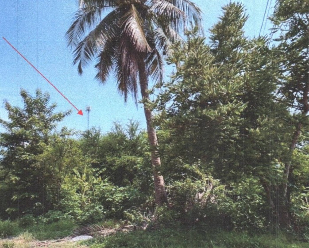 ที่ดินเปล่า ตาก สามเงา ย่านรี 176250