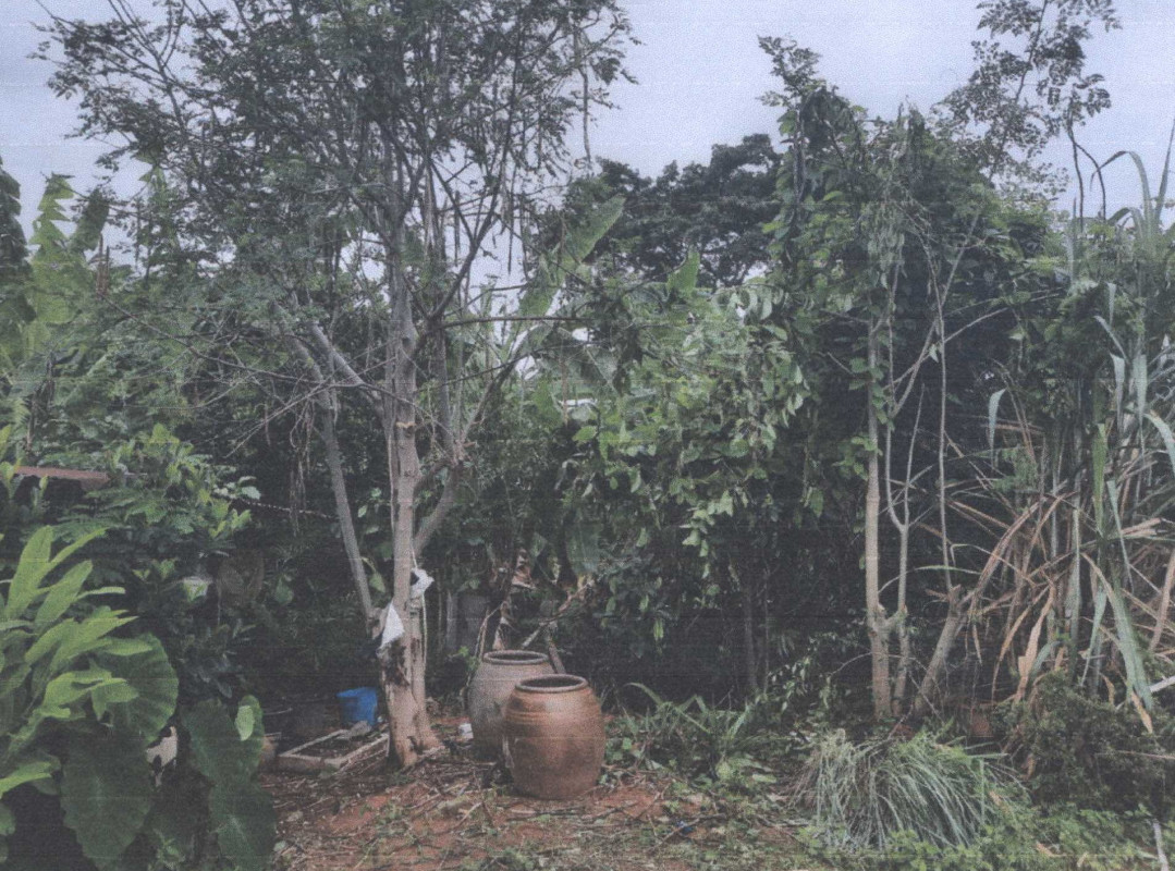 บ้านเดี่ยว ชัยภูมิ แก้งคร้อ หนองสังข์ 600381