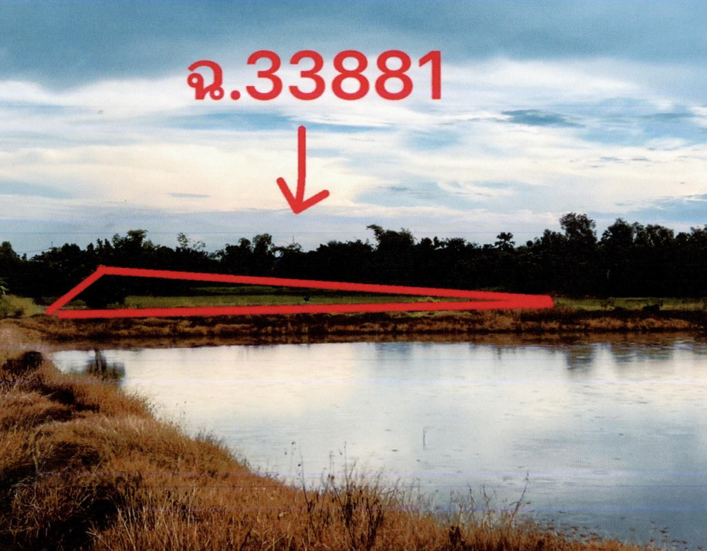 ที่ดินเปล่า พระนครศรีอยุธยา บางไทร ช่างเหล็ก 369750