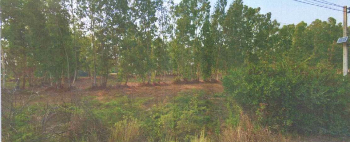 ที่ดินเปล่า นครนายก บ้านนา ศรีกะอาง 54000