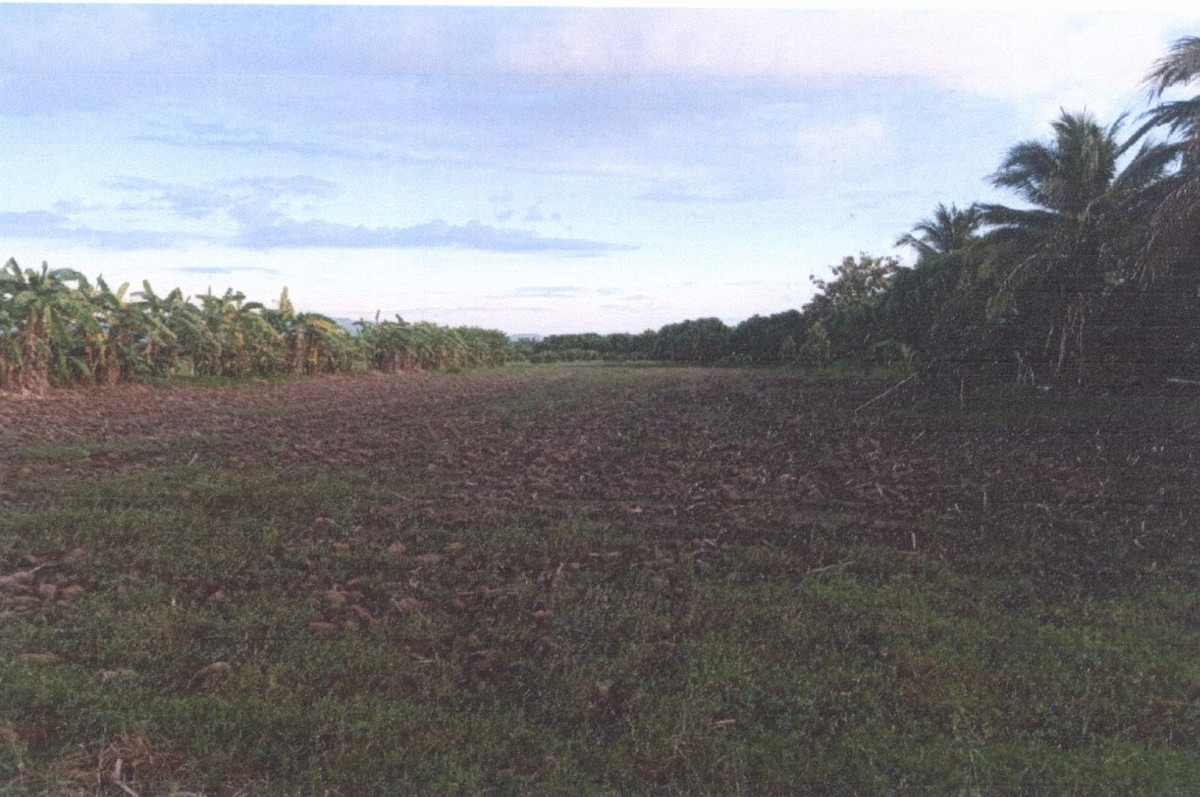 ที่ดินเปล่า ตาก สามเงา สามเงา 397200