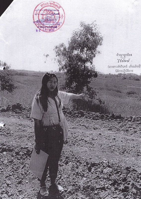 ที่ดินเปล่า อ่างทอง ป่าโมก เอกราช 395980