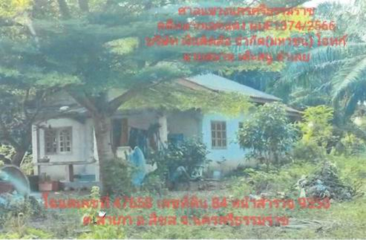 บ้านเดี่ยว นครศรีธรรมราช สิชล เสาเภา 298090