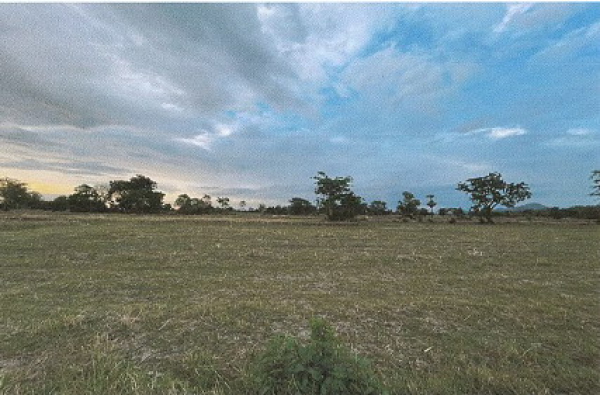 ที่ดินเปล่า นครสวรรค์ พยุหะคีรี เขากะลา 300000