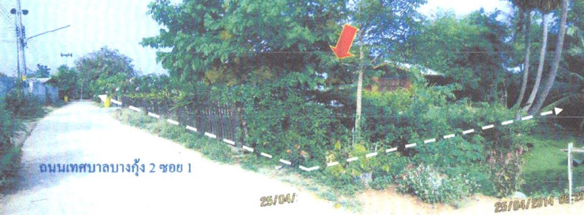 บ้านเดี่ยว สุพรรณบุรี เมืองสุพรรณบุรี บางกุ้ง 1017850