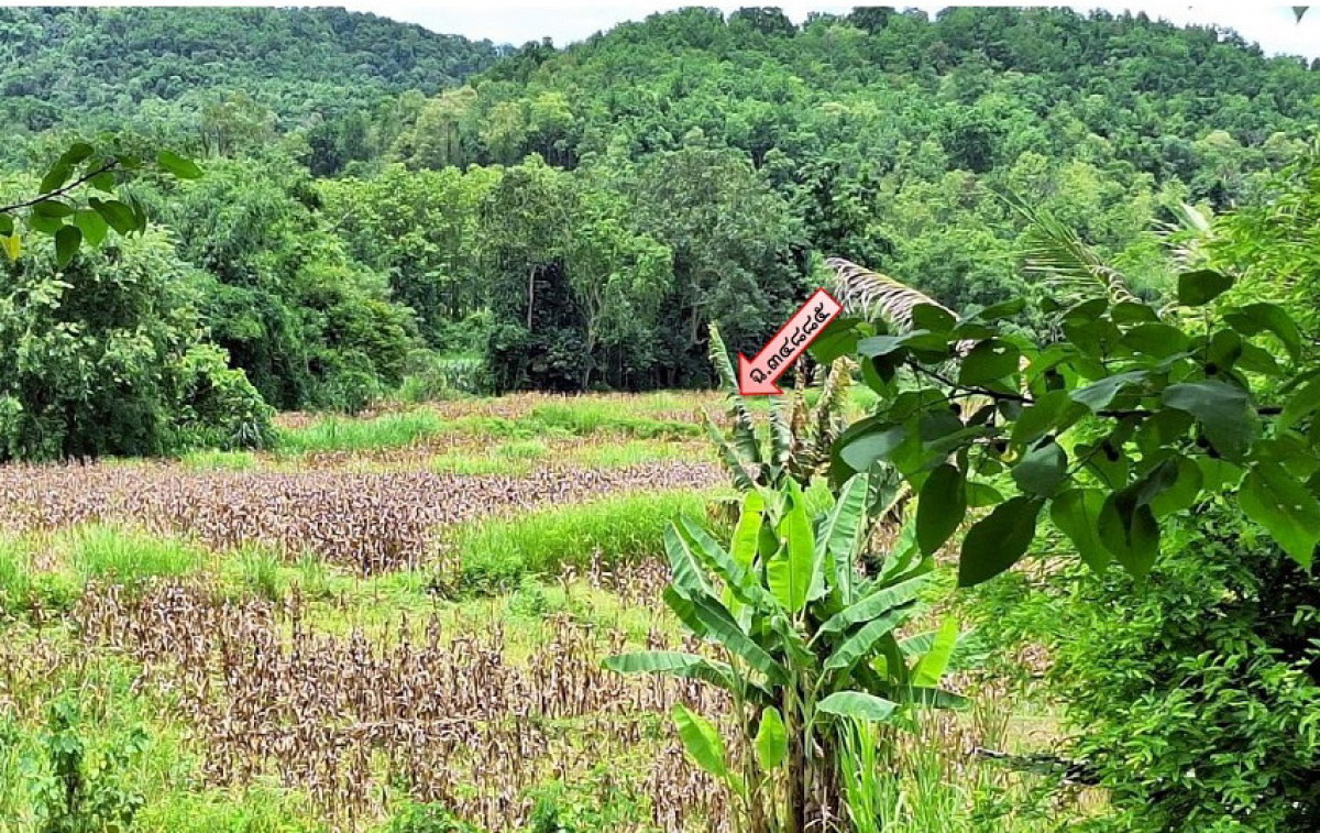 ที่ดินเปล่า พะเยา ปง ขุนควร 99080