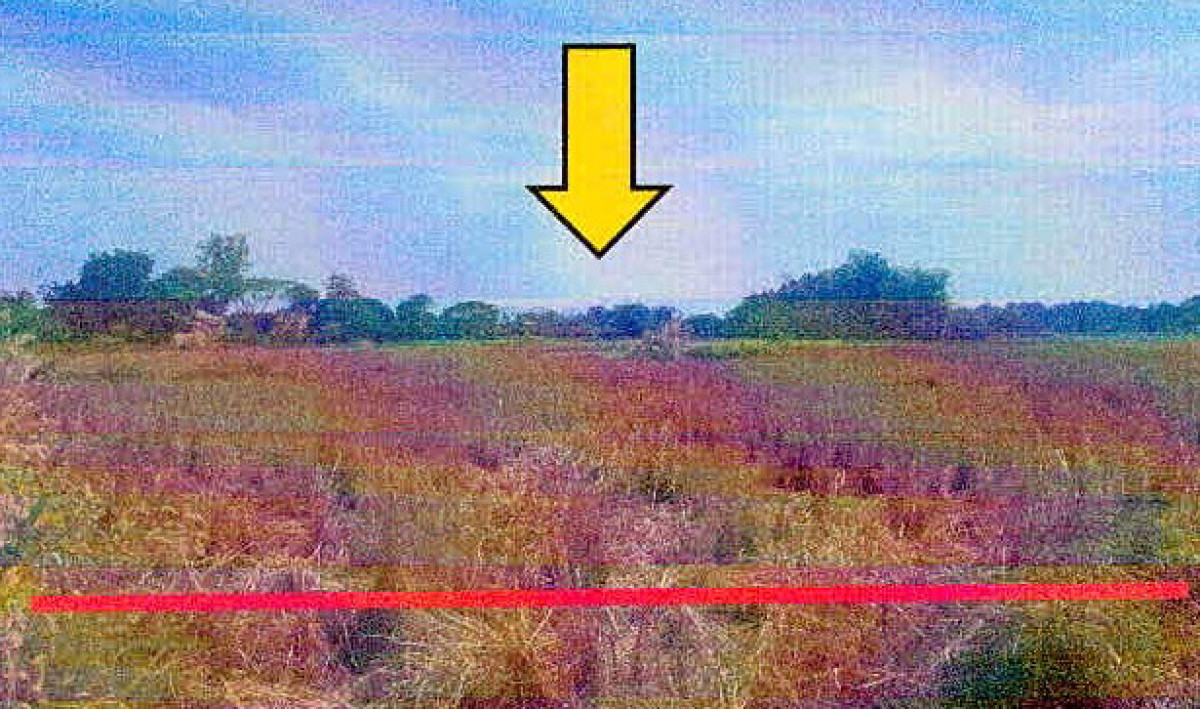 ที่ดินเปล่า เลย เมืองเลย เมือง 922462