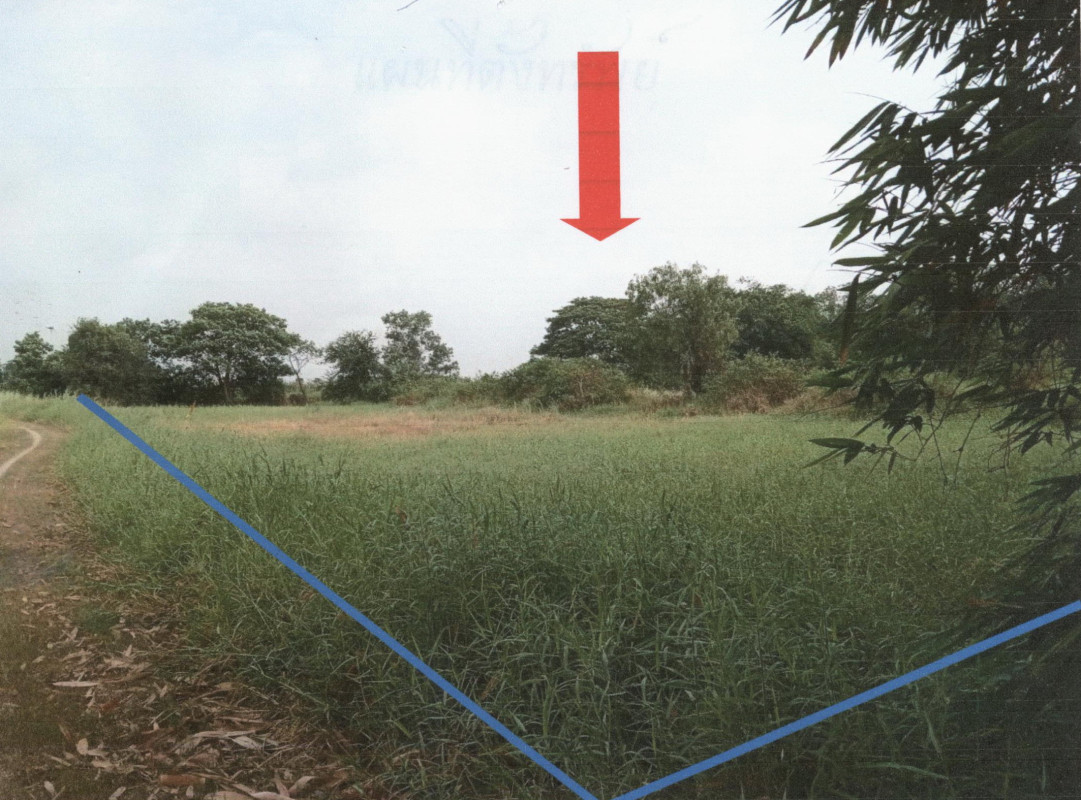 ที่ดินเปล่า พระนครศรีอยุธยา บางปะหัน ทับน้ำ 600000