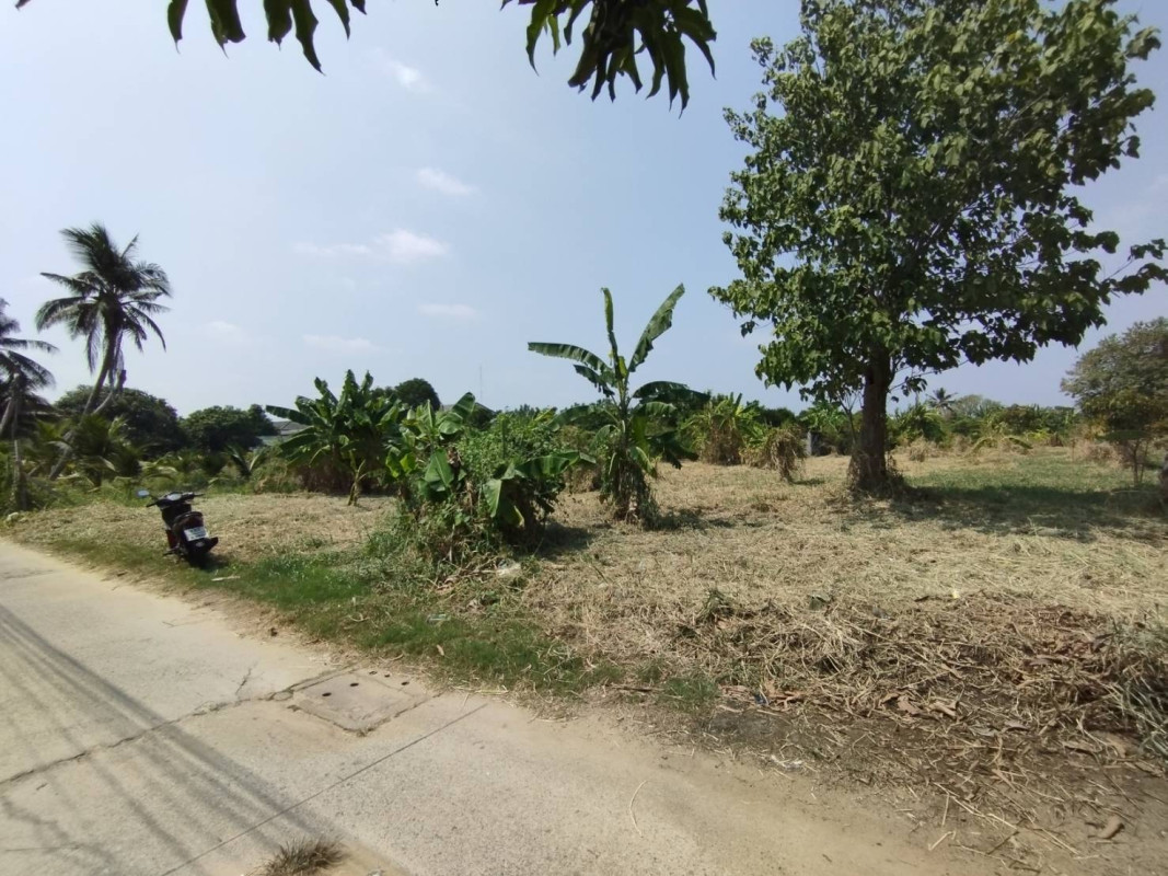 ที่ดินเปล่า นนทบุรี เมืองนนทบุรี บางศรีเมือง 51600000