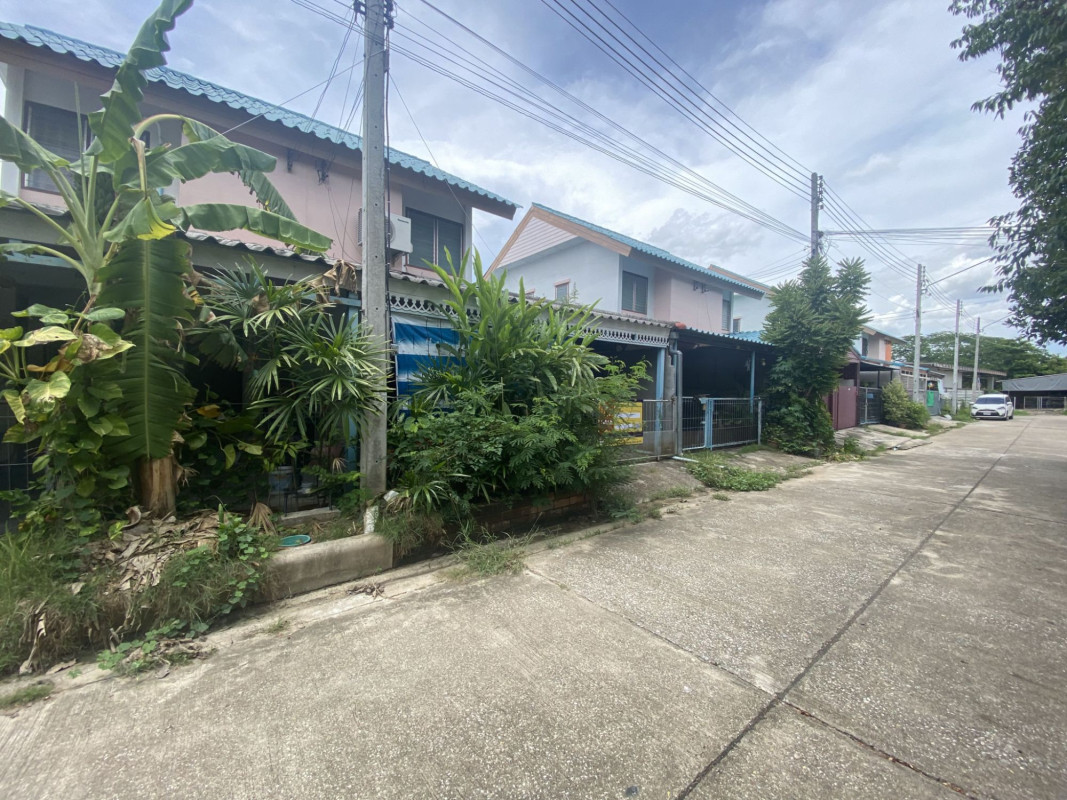 บ้านเดี่ยว ลำพูน เมืองลำพูน ป่าสัก 651000