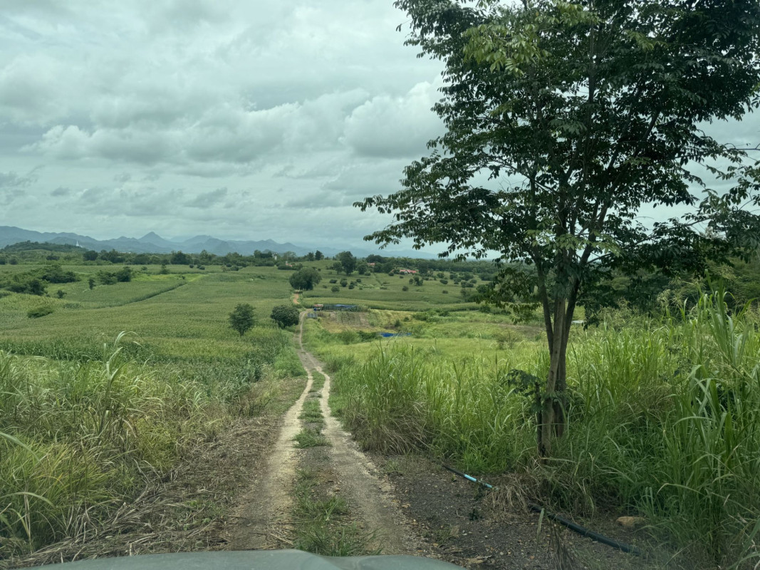 ที่ดินเปล่า เพชรบูรณ์ หนองไผ่ ยางงาม 36000