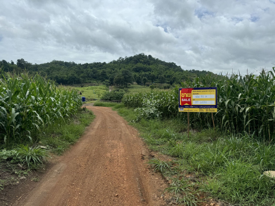 ที่ดินเปล่า เพชรบูรณ์ หนองไผ่ ยางงาม 236000