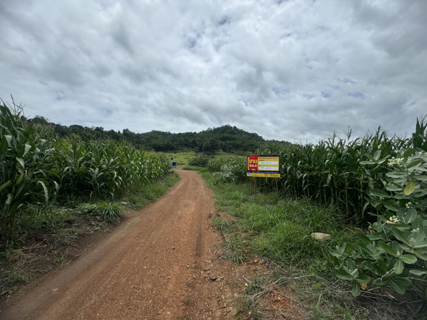 ที่ดินเปล่า เพชรบูรณ์ หนองไผ่ ยางงาม 252000