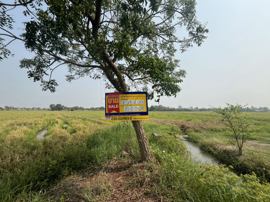 ที่ดินเปล่า สุพรรณบุรี ศรีประจันต์ วังหว้า 7033000