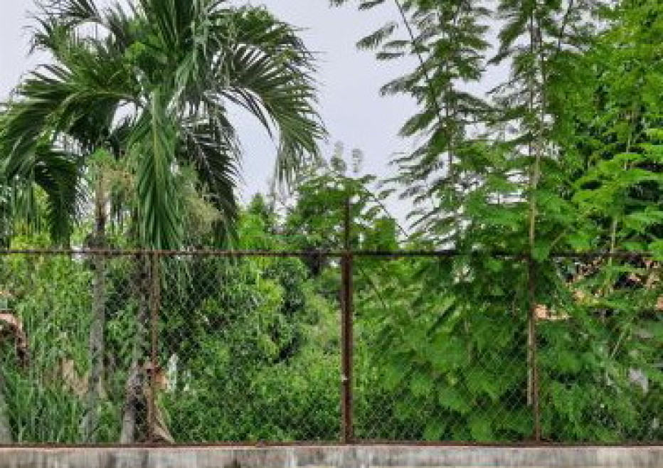 ที่ดินเปล่า ร้อยเอ็ด ธวัชบุรี นิเวศน์ 961350