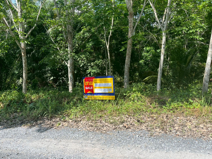 ที่ดินเปล่า นครศรีธรรมราช ทุ่งสง เขาขาว 2073000