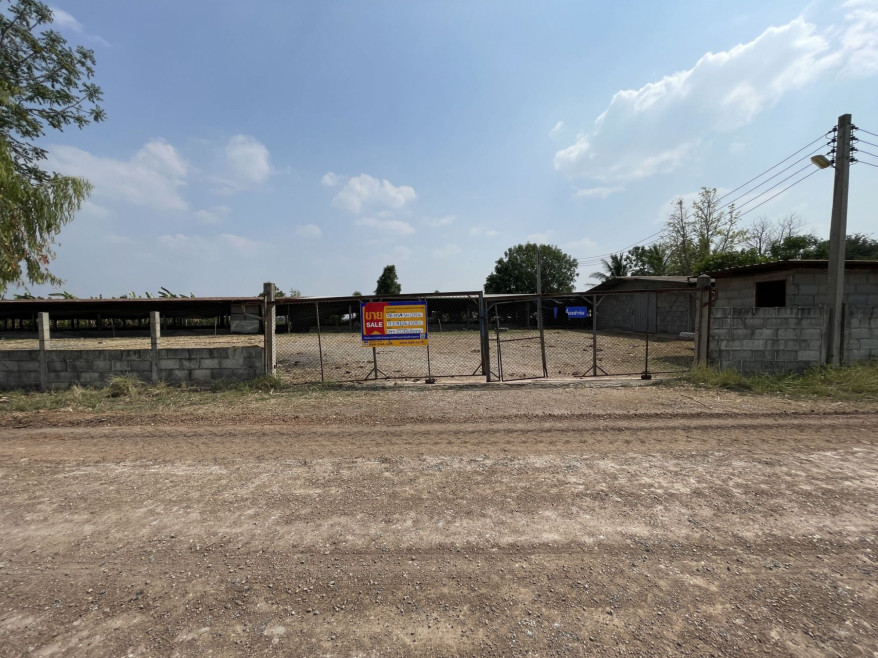 อื่นๆ นครราชสีมา โนนไทย โนนไทย 4693000