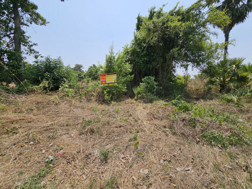 ที่ดินเปล่า ร้อยเอ็ด โพนทอง แวง 2974000