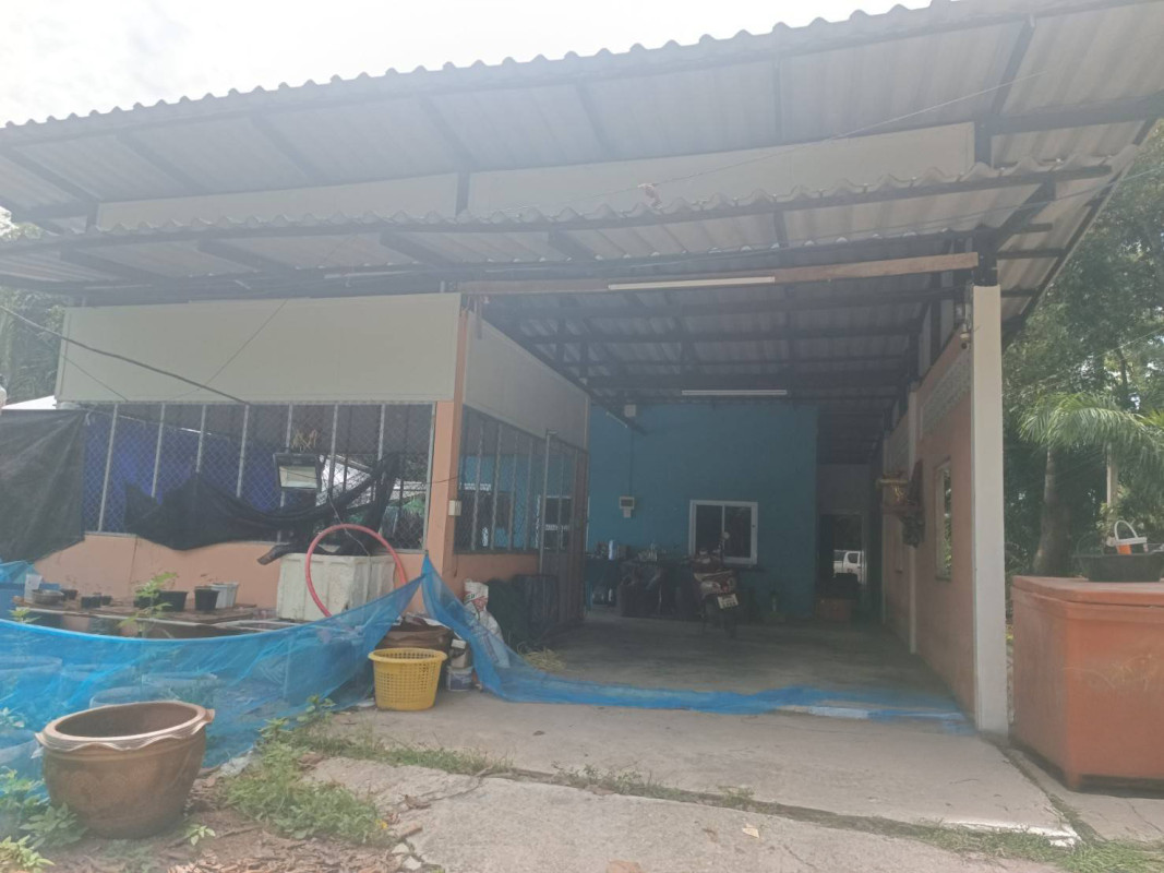 บ้านเดี่ยว นอกโครงการไชยา สุราษฎร์ธานี ไชยา พุมเรียง 2290000