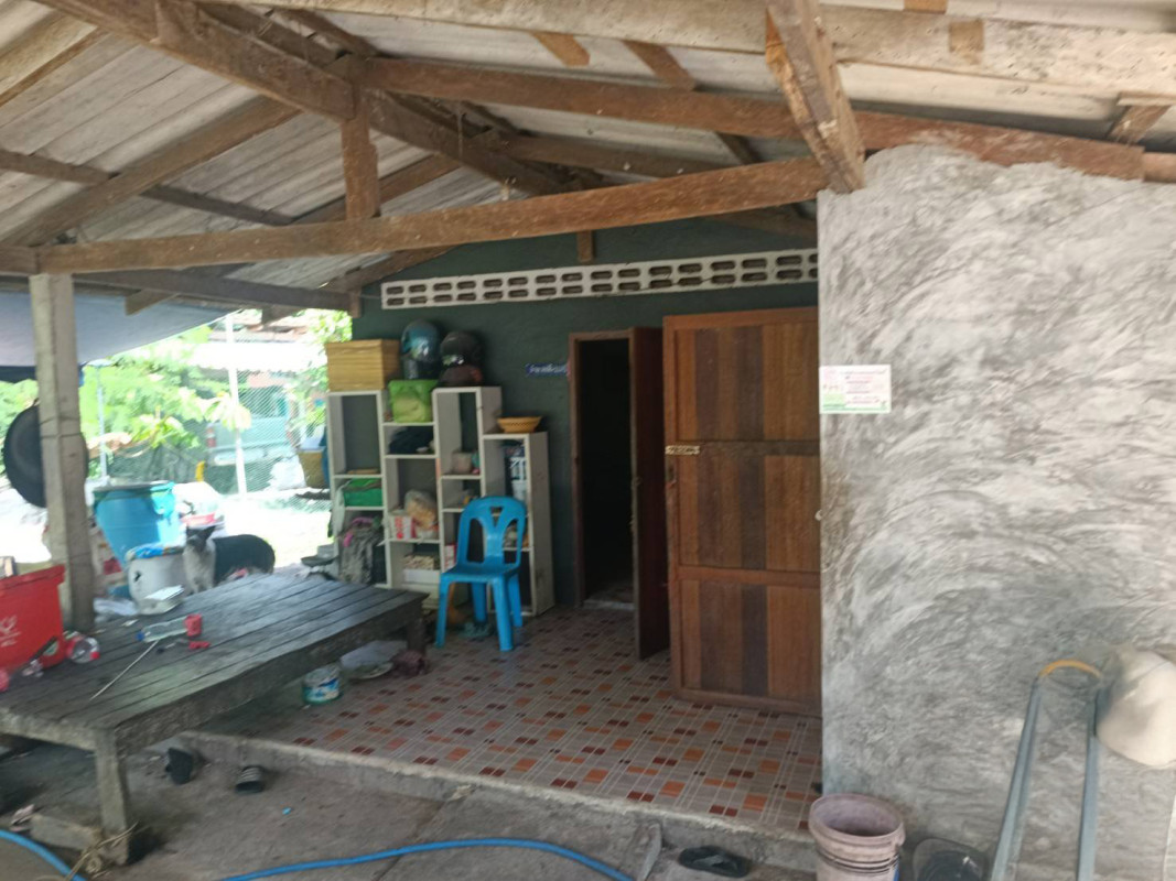 บ้านเดี่ยว นอกโครงการไชยา สุราษฎร์ธานี ไชยา พุมเรียง 2290000