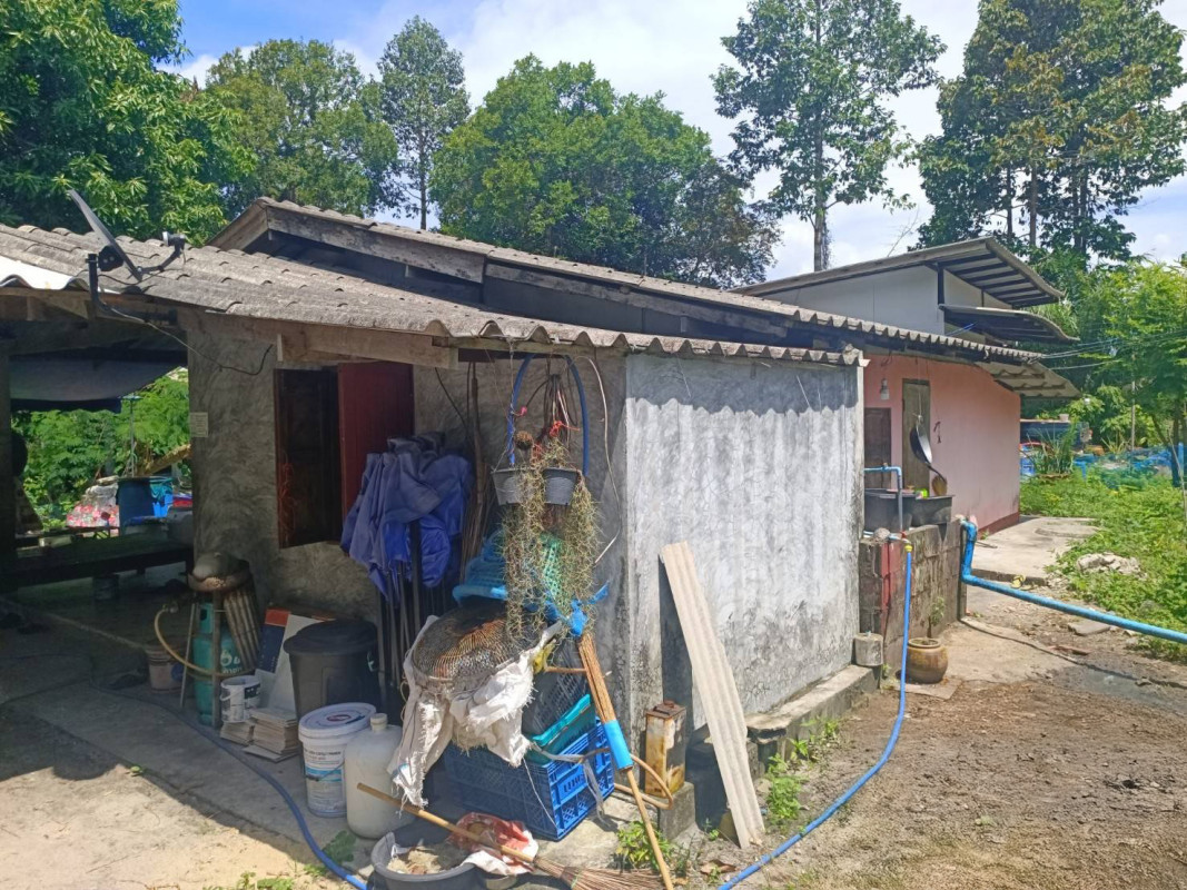 บ้านเดี่ยว นอกโครงการไชยา สุราษฎร์ธานี ไชยา พุมเรียง 2290000