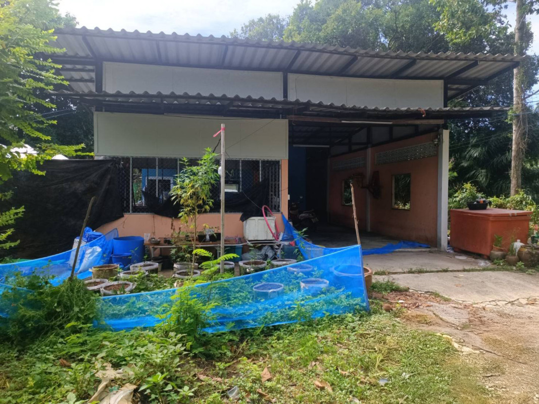 บ้านเดี่ยว นอกโครงการไชยา สุราษฎร์ธานี ไชยา พุมเรียง 2290000