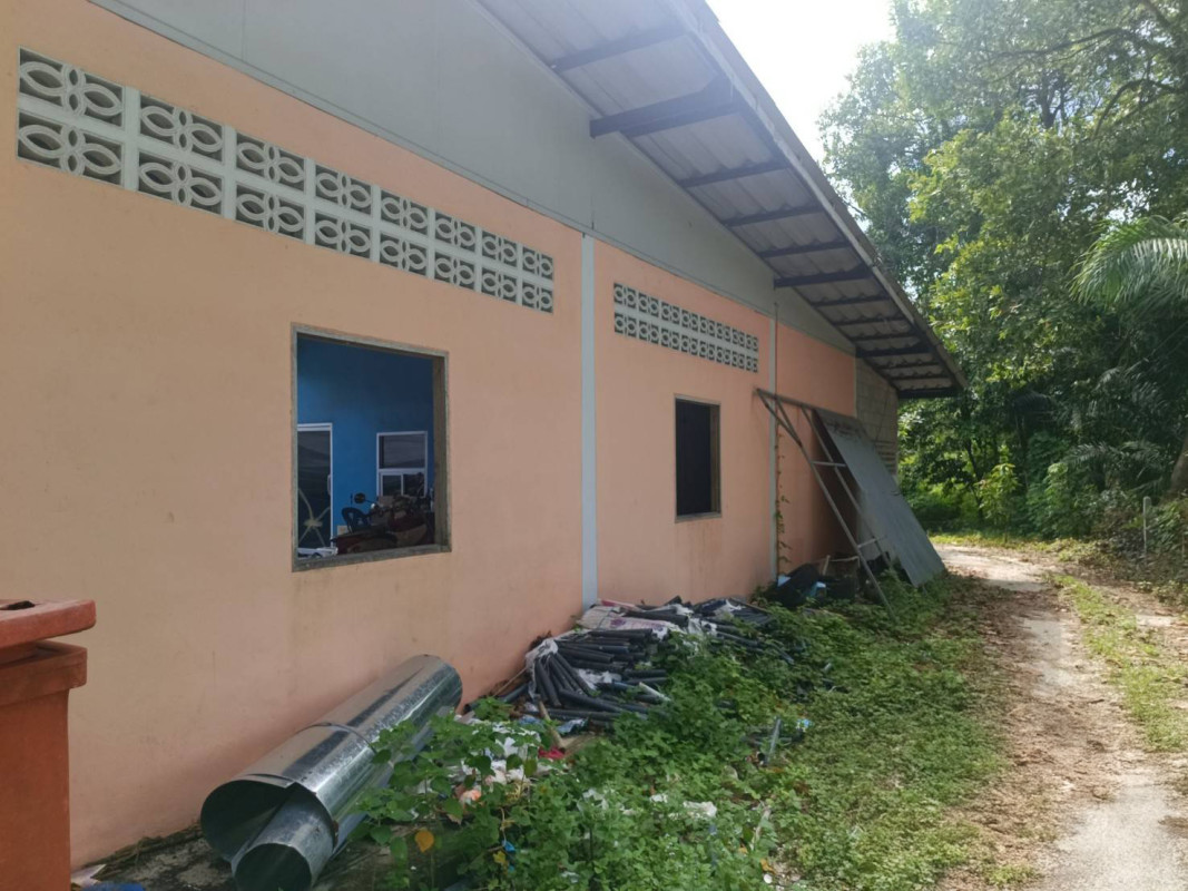 บ้านเดี่ยว นอกโครงการไชยา สุราษฎร์ธานี ไชยา พุมเรียง 2290000