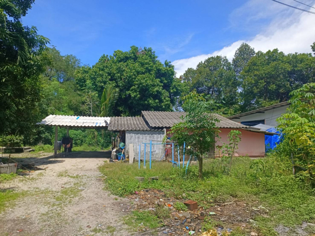 บ้านเดี่ยว นอกโครงการไชยา สุราษฎร์ธานี ไชยา พุมเรียง 2290000