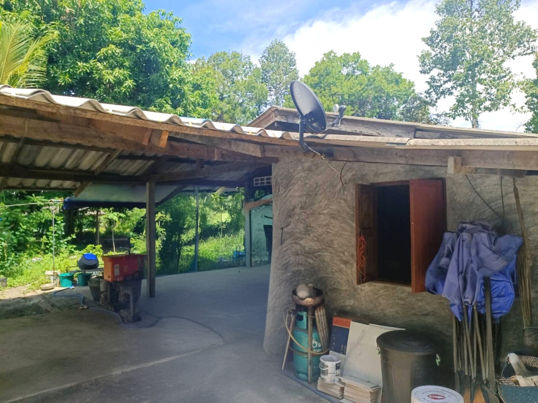 บ้านเดี่ยว นอกโครงการไชยา สุราษฎร์ธานี ไชยา พุมเรียง 2290000