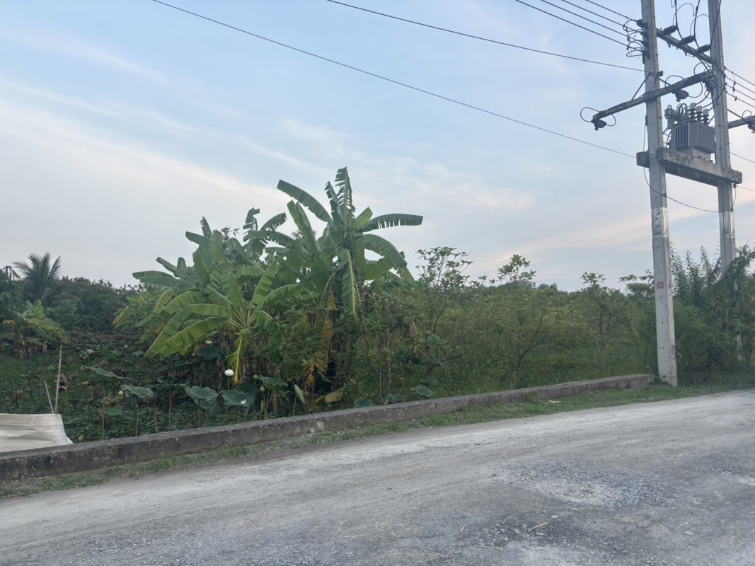 ที่ดินเปล่า นครปฐม พุทธมณฑล ศาลายา 38000000