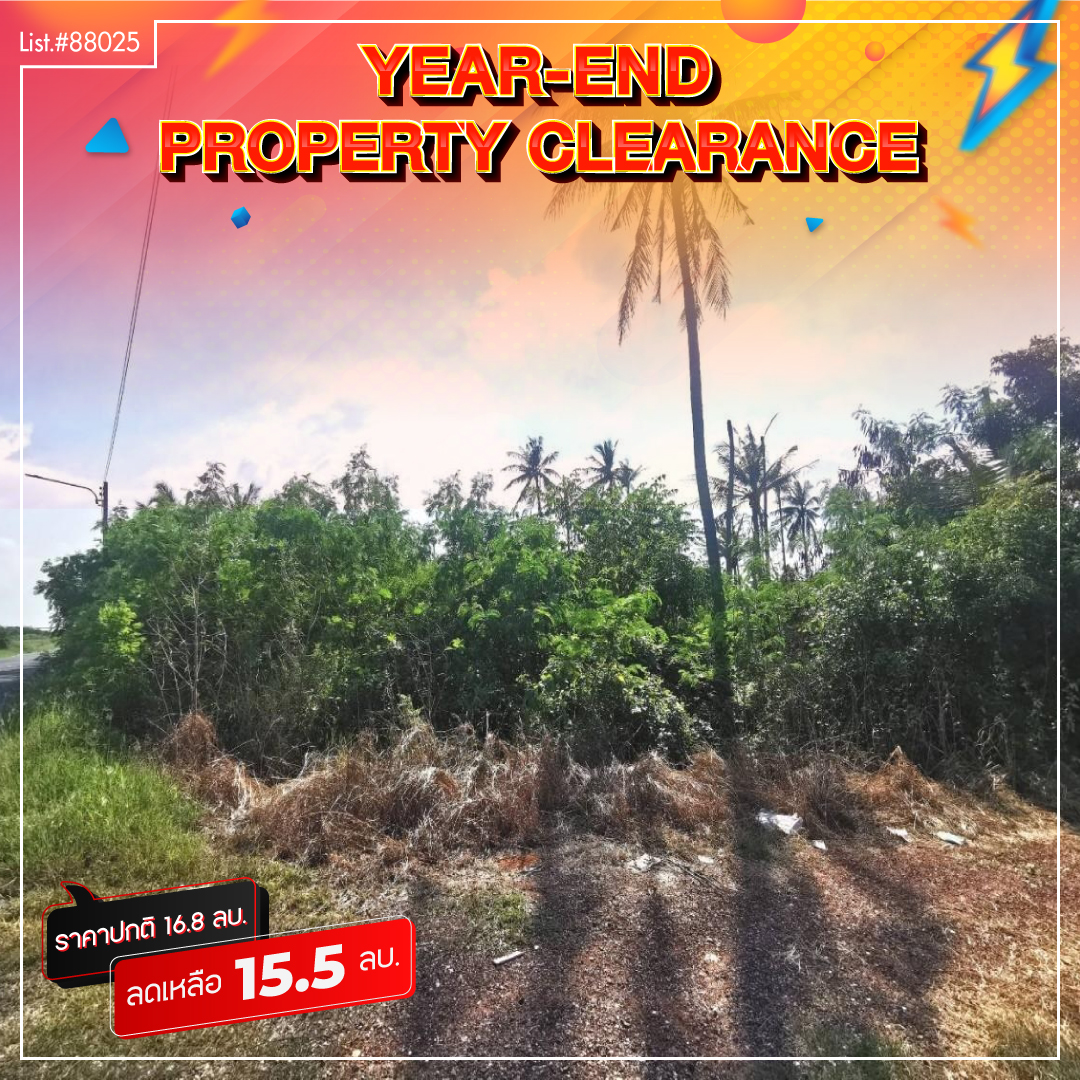 ที่ดินเปล่า ฉะเชิงเทรา เมืองฉะเชิงเทรา คลองจุกกระเฌอ 15500000