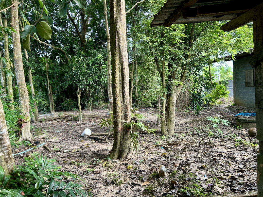 ที่ดินเปล่า ฉะเชิงเทรา พนมสารคาม เขาหินซ้อน 2990000