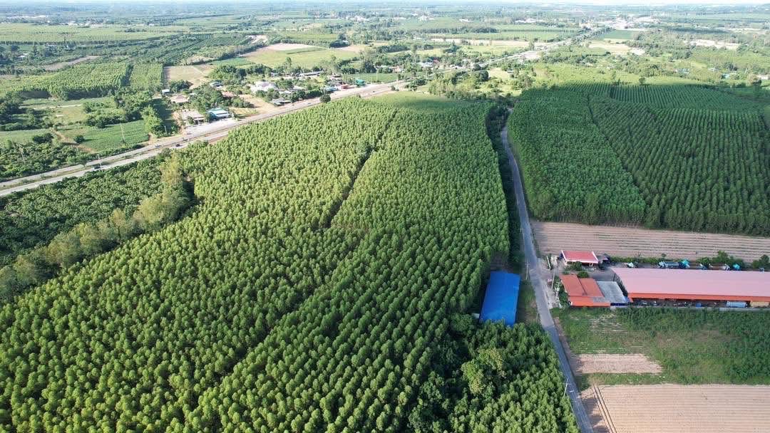 ที่ดินเปล่า ฉะเชิงเทรา พนมสารคาม เขาหินซ้อน 6500000