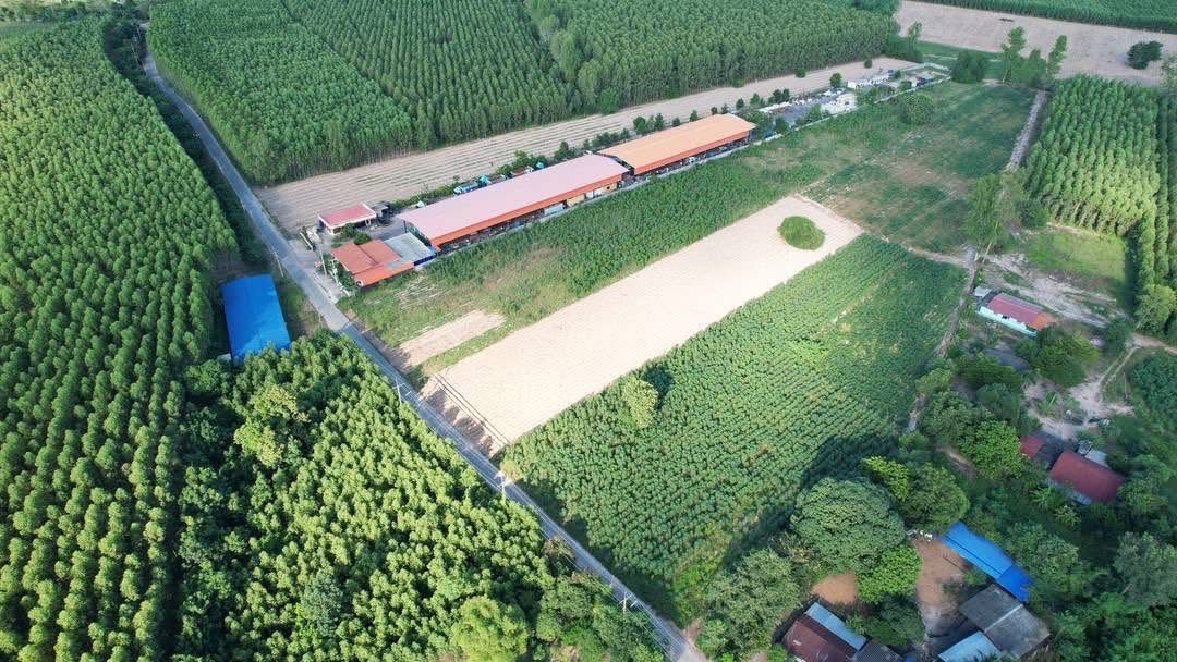 ที่ดินเปล่า ฉะเชิงเทรา พนมสารคาม เขาหินซ้อน 6500000