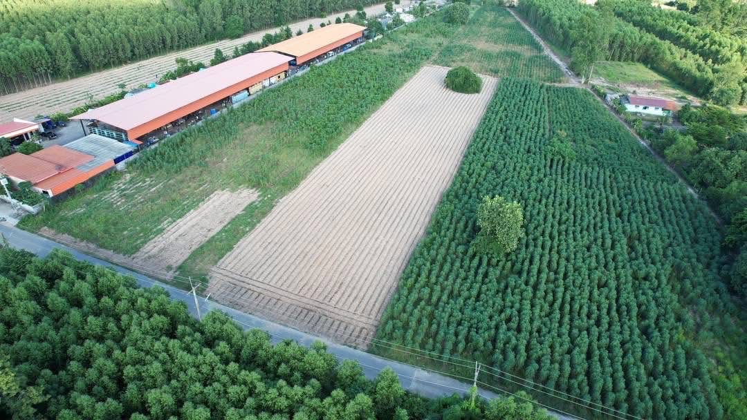 ที่ดินเปล่า ฉะเชิงเทรา พนมสารคาม เขาหินซ้อน 6500000