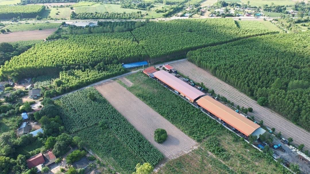 ที่ดินเปล่า ฉะเชิงเทรา พนมสารคาม เขาหินซ้อน 6500000