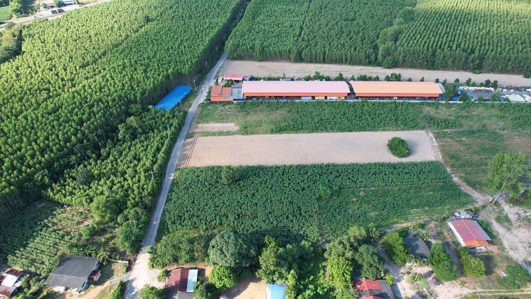 ที่ดินเปล่า ฉะเชิงเทรา พนมสารคาม เขาหินซ้อน 6500000