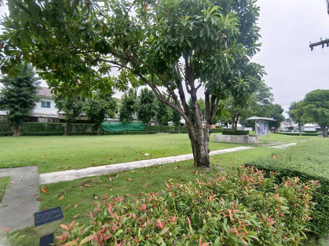 ทาวน์เฮ้าส์ พฤกษาวิลล์ 67 สมุทรสาคร กระทุ่มแบน อ้อมน้อย 2999999