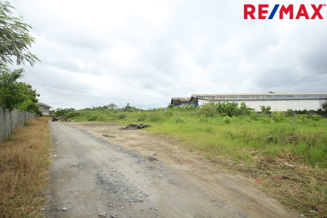 ที่ดินเปล่า สมุทรสาคร เมืองสมุทรสาคร นาดี 7731000