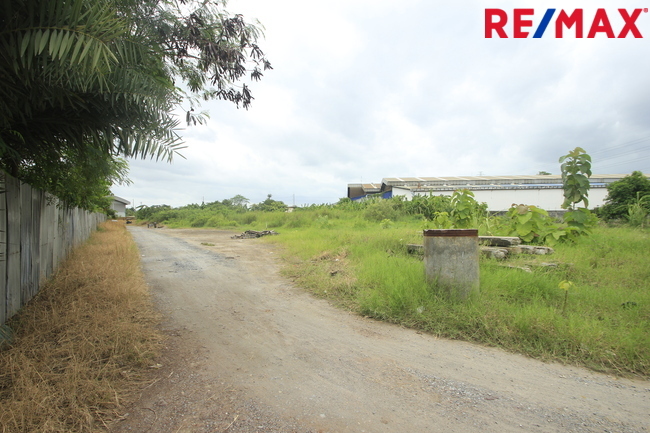 ที่ดินเปล่า สมุทรสาคร เมืองสมุทรสาคร นาดี 7731000