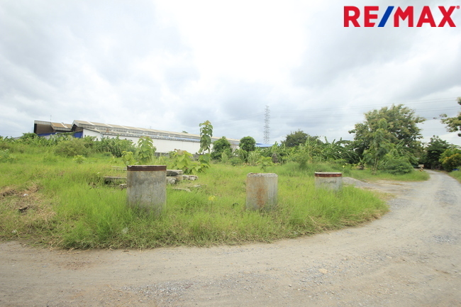 ที่ดินเปล่า สมุทรสาคร เมืองสมุทรสาคร นาดี 7731000