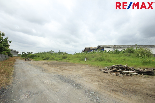 ที่ดินเปล่า สมุทรสาคร เมืองสมุทรสาคร นาดี 7731000