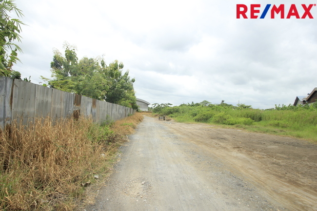 ที่ดินเปล่า สมุทรสาคร เมืองสมุทรสาคร นาดี 7731000