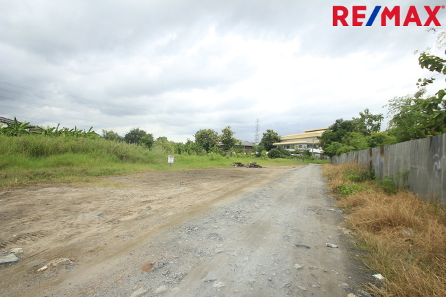 ที่ดินเปล่า สมุทรสาคร เมืองสมุทรสาคร นาดี 7731000