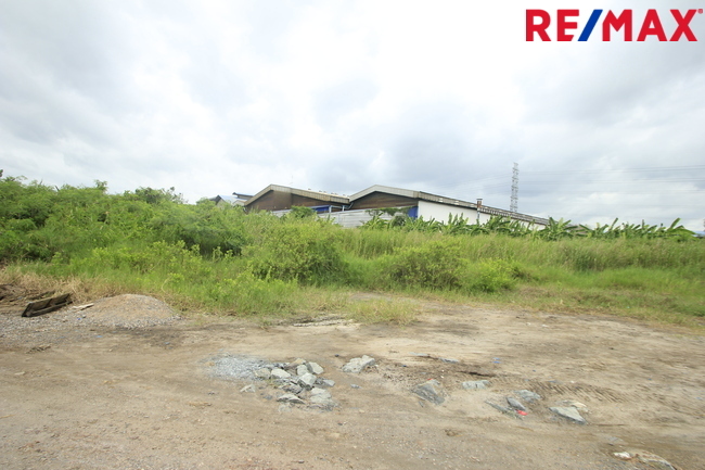 ที่ดินเปล่า สมุทรสาคร เมืองสมุทรสาคร นาดี 7731000